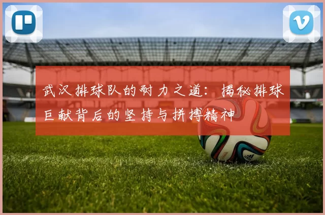 武汉排球队的耐力之道：揭秘排球巨献背后的坚持与拼搏精神