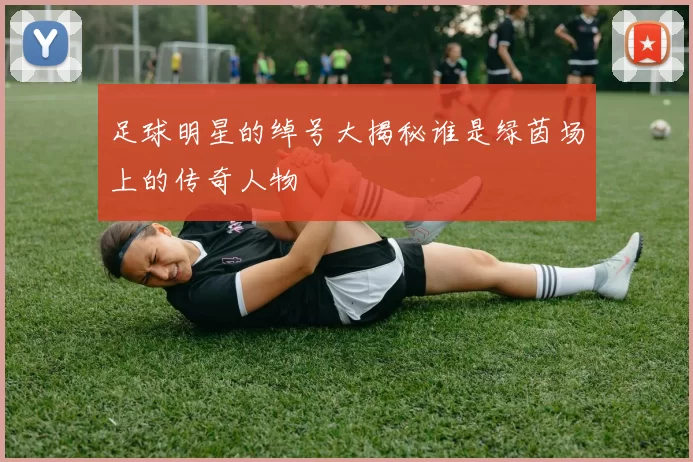 足球明星的绰号大揭秘谁是绿茵场上的传奇人物