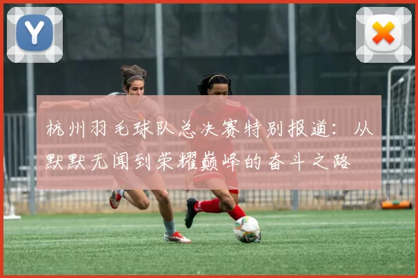 杭州羽毛球队总决赛特别报道：从默默无闻到荣耀巅峰的奋斗之路