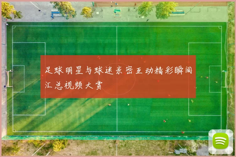 足球明星与球迷亲密互动精彩瞬间汇总视频大赏