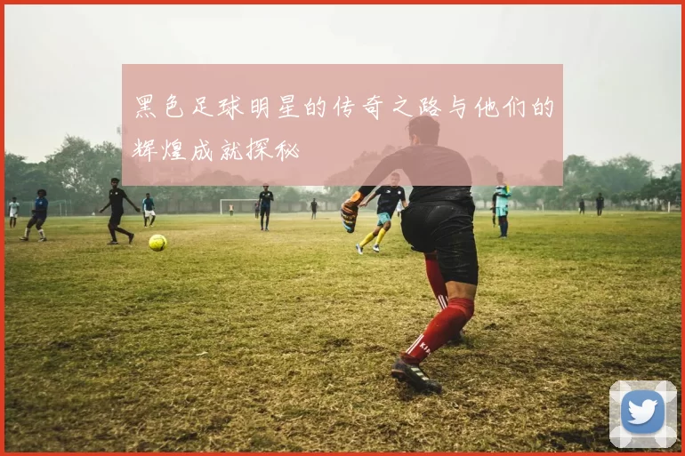 黑色足球明星的传奇之路与他们的辉煌成就探秘
