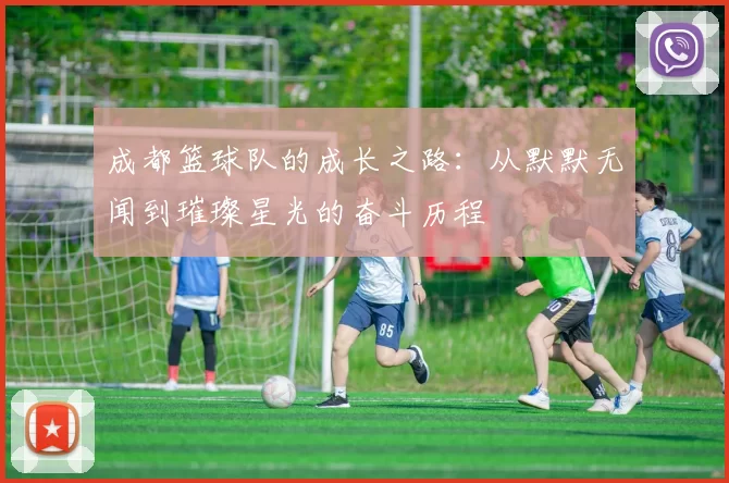 成都篮球队的成长之路：从默默无闻到璀璨星光的奋斗历程