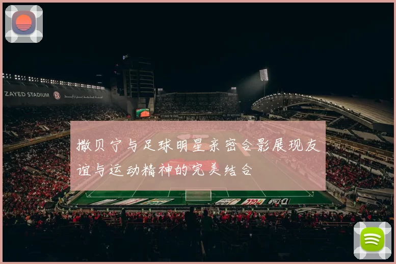 撒贝宁与足球明星亲密合影展现友谊与运动精神的完美结合