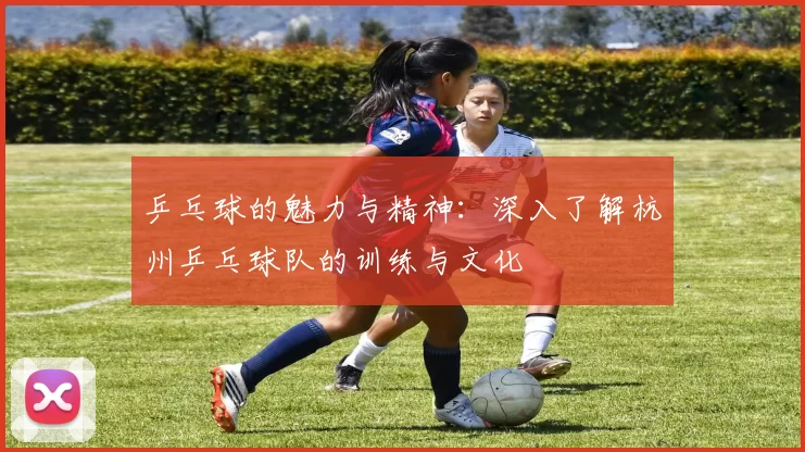 乒乓球的魅力与精神：深入了解杭州乒乓球队的训练与文化