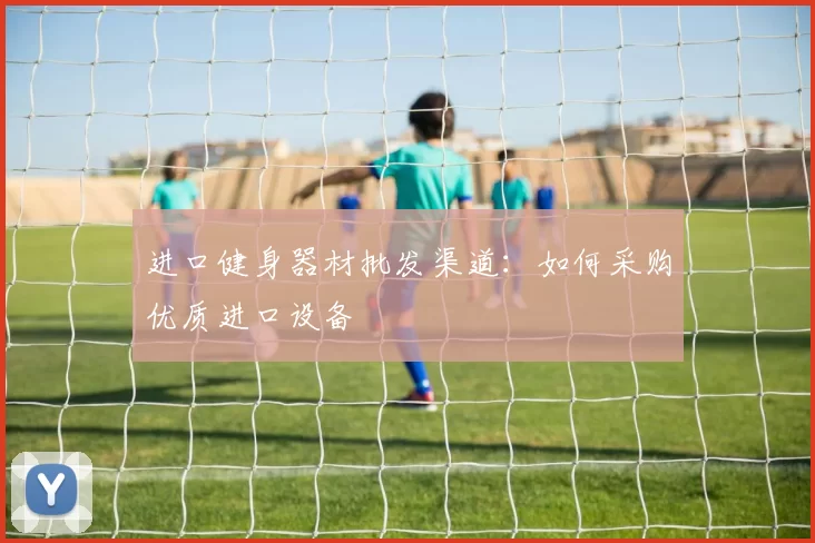 进口健身器材批发渠道：如何采购优质进口设备