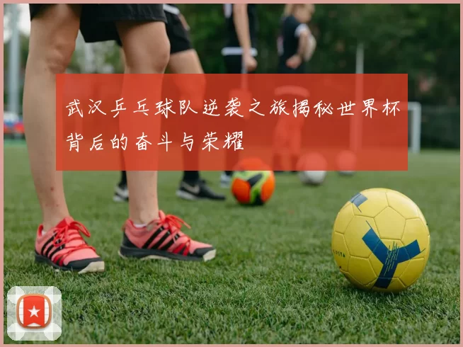 武汉乒乓球队逆袭之旅揭秘世界杯背后的奋斗与荣耀